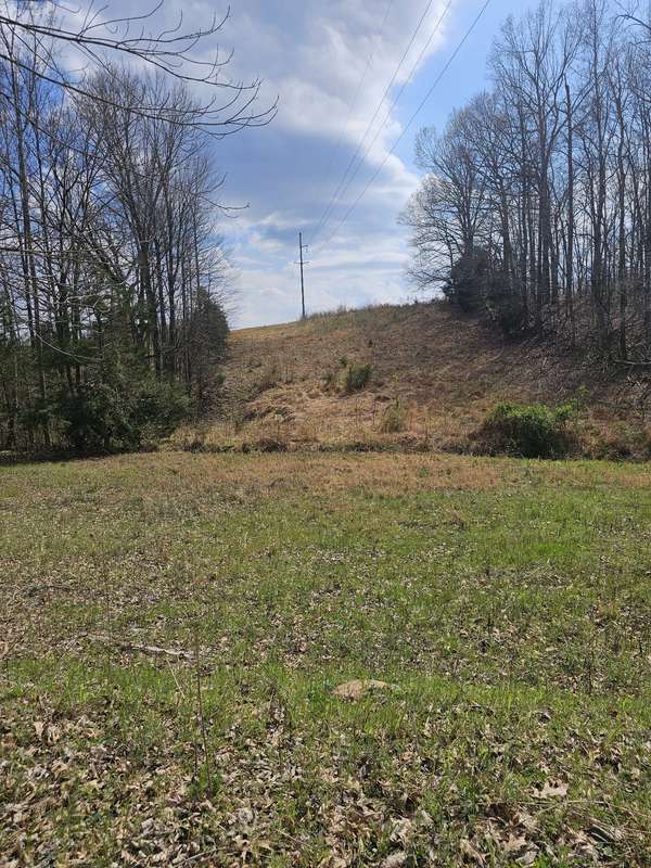 0 Robert Ford Cove, Clifton, TN 38425