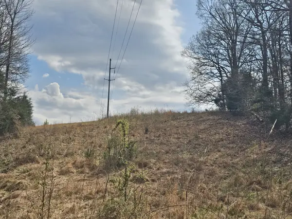0 Robert Ford Cove, Clifton, TN 38425