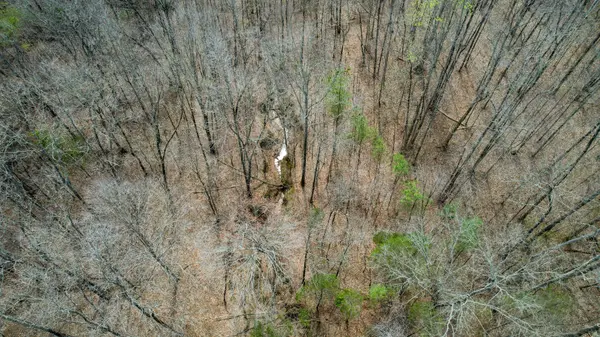 0 Holladay Road, Holladay, TN 38341