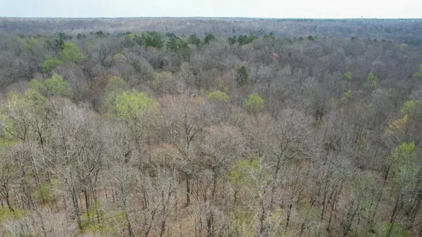 0 Holladay Road, Holladay, TN 38341