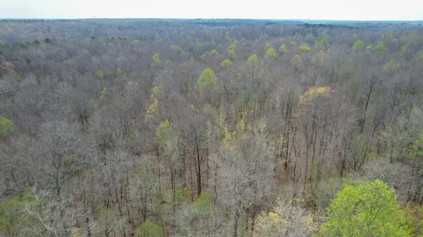 0 Holladay Road, Holladay, TN 38341