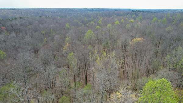 0 Holladay Road, Holladay, TN 38341