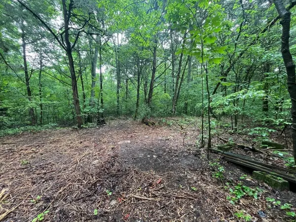 0 Anderson Ln, Chapel Hill, TN 37034
