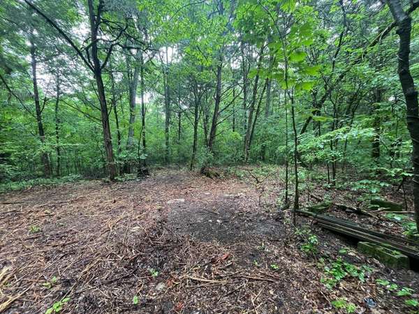0 Anderson Ln, Chapel Hill, TN 37034