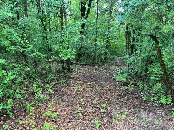 0 Anderson Ln, Chapel Hill, TN 37034