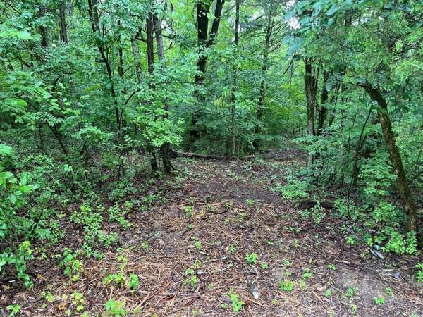 0 Anderson Ln, Chapel Hill, TN 37034