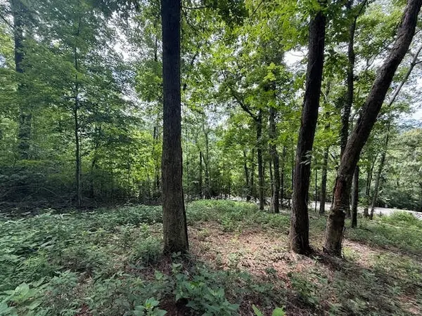 74 Williamson Cir, Smithville, TN 37166
