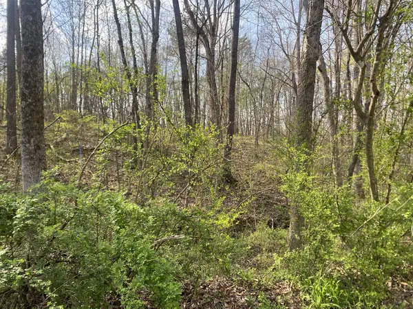 0 Mountain View Drive, Morrison, TN 37357