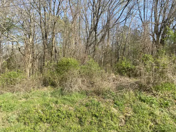 0 Mountain View Drive, Morrison, TN 37357
