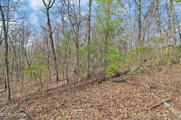0 Thompson Rd, Crossville, TN 38571