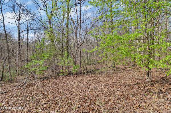 0 Thompson Rd, Crossville, TN 38571
