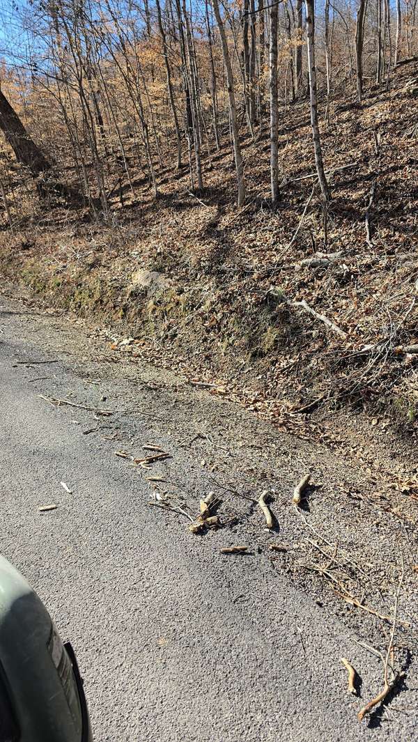 0 Honey Fork Road, Indian Mound, TN 37079