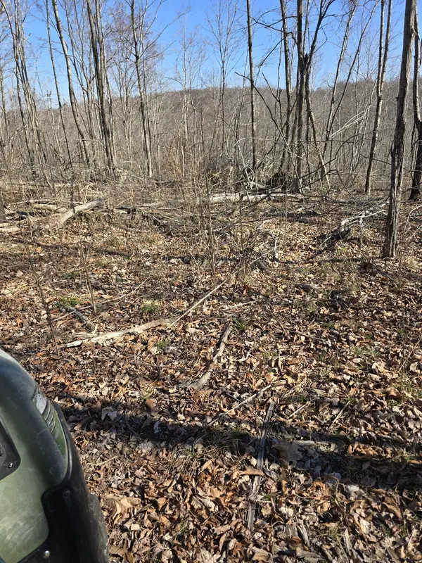 0 Honey Fork Road, Indian Mound, TN 37079