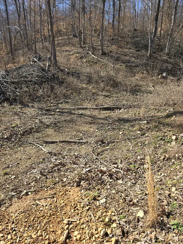 0 Honey Fork Road, Indian Mound, TN 37079