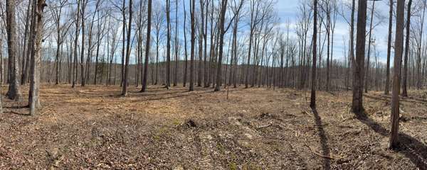 13 Shelton Cemetery Road, Cumberland Furnace, TN 37051