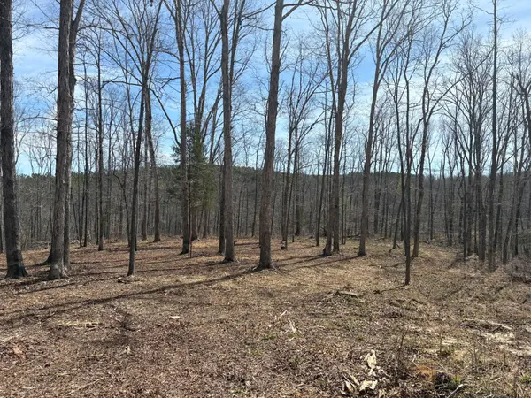 13 Shelton Cemetery Road, Cumberland Furnace, TN 37051