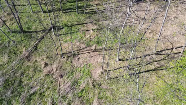0 Blackberry Ridge Way, Smithville, TN 37166