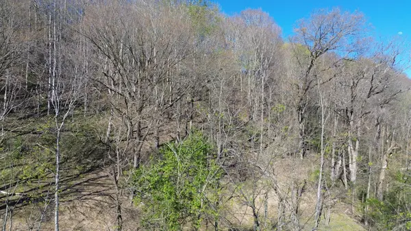 0 Blackberry Ridge Way, Smithville, TN 37166