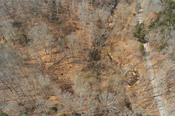 0 Cave Branch Road, Dickson, TN 37055