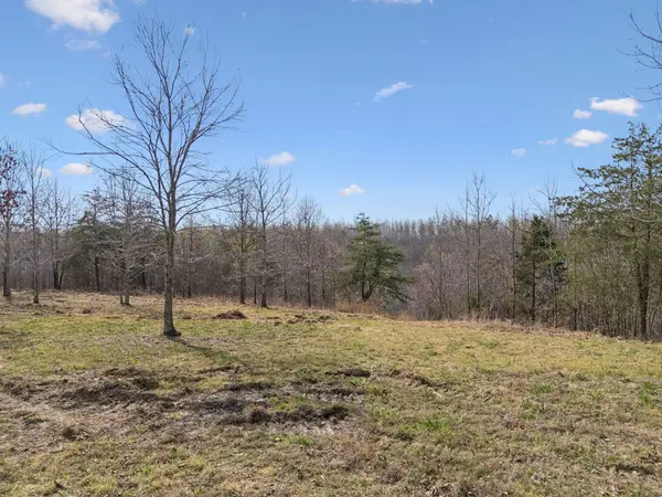 499 Golden View Ln, Hampshire, TN 38461