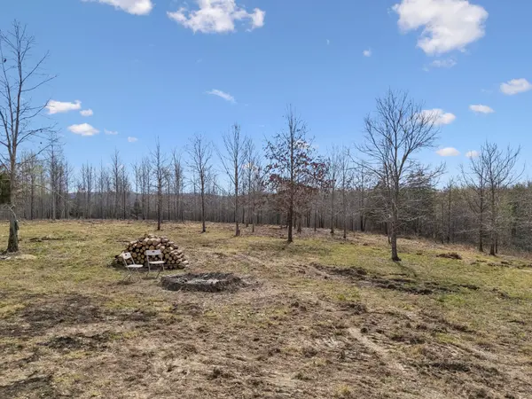 499 Golden View Ln, Hampshire, TN 38461