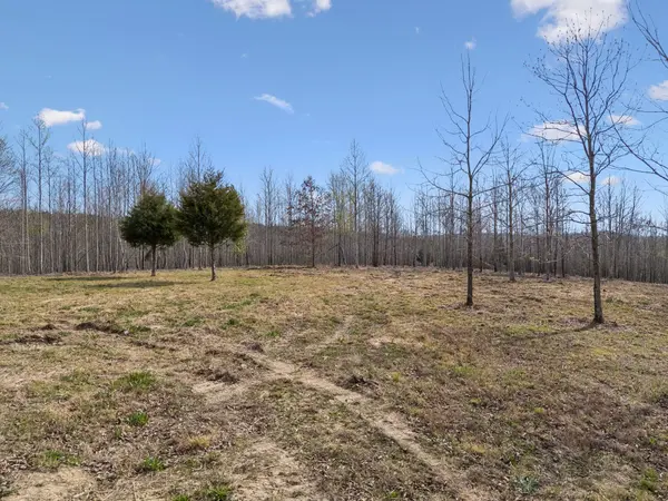499 Golden View Ln, Hampshire, TN 38461