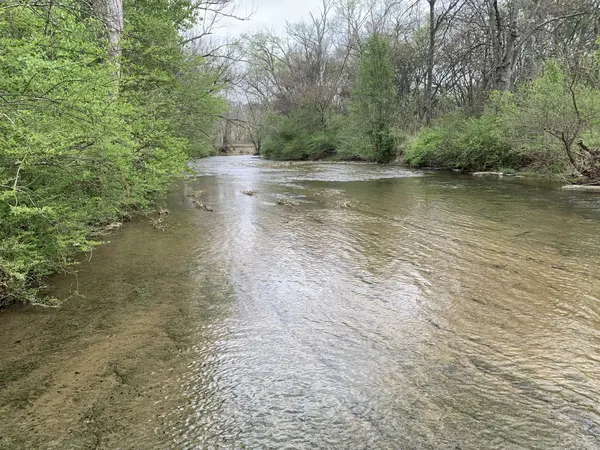 137 Factory Creek Rd, Ethridge, TN 38456