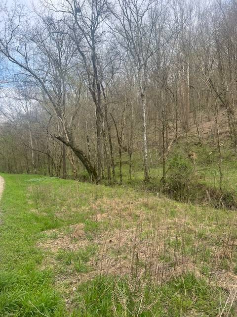 0 Club Springs Rd, Elmwood, TN 38560