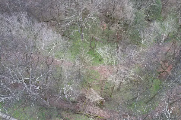 0 Club Springs Rd, Elmwood, TN 38560