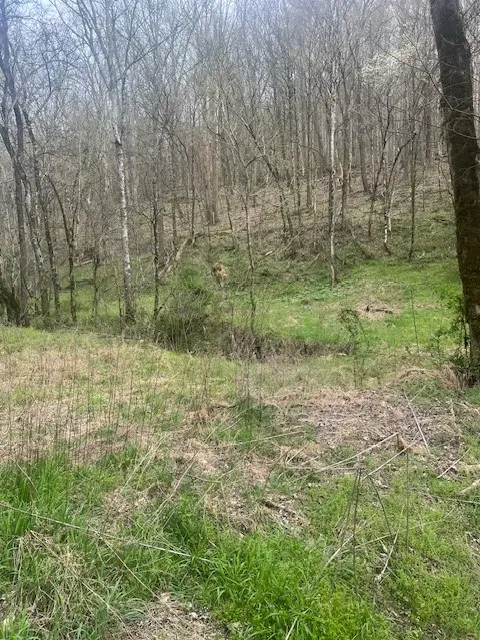 0 Club Springs Rd, Elmwood, TN 38560