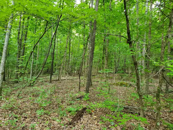 235 County Road, Niota, TN 37826