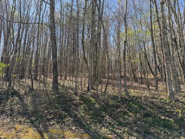 235 County Road, Niota, TN 37826