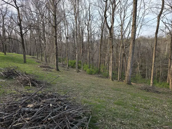 0 Griffith Rd, Nashville, TN 37221