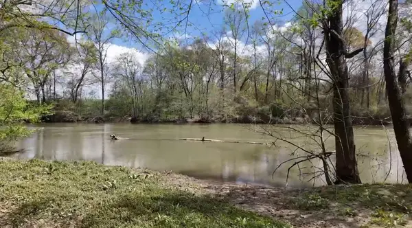 109 Acres 0 Lynn Lane, Whitwell, TN 37397