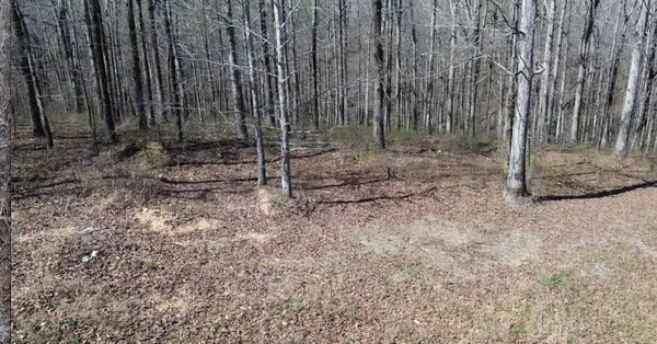 0 Owl Circle, Hurricane Mills, TN 37078