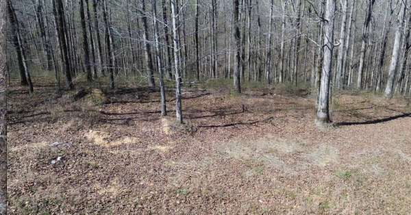 0 Owl Circle, Hurricane Mills, TN 37078
