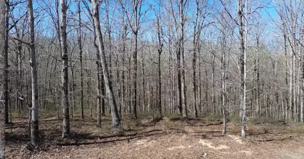 0 Owl Circle, Hurricane Mills, TN 37078