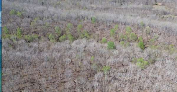 0 Owl Circle, Hurricane Mills, TN 37078