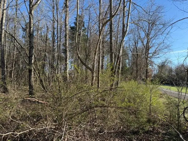 120 S Woods Rd, Mcminnville, TN 37110