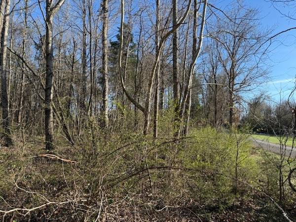 120 S Woods Rd, Mcminnville, TN 37110