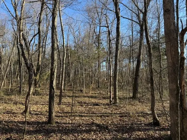 120 S Woods Rd, Mcminnville, TN 37110