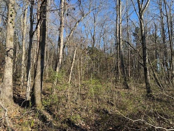 120 S Woods Rd, Mcminnville, TN 37110
