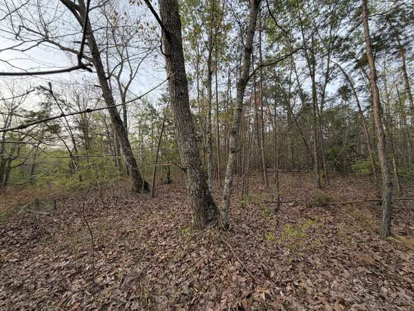 0 Salem Road, Centerville, TN 37033