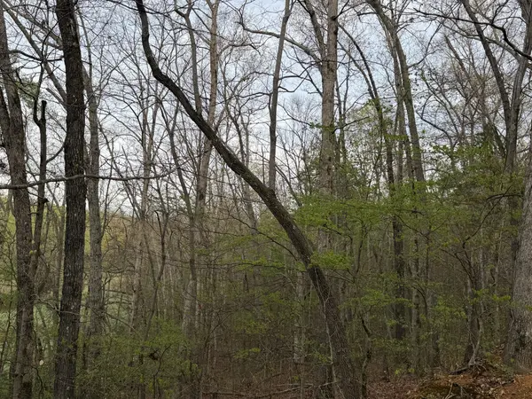 0 Salem Road, Centerville, TN 37033