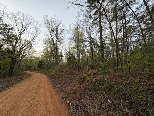 0 Salem Road, Centerville, TN 37033
