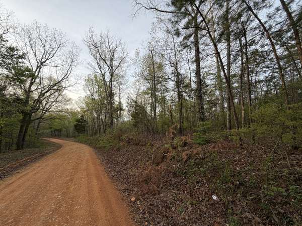 0 Salem Road, Centerville, TN 37033