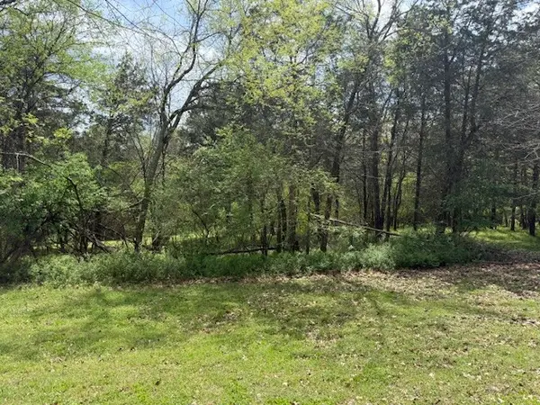 0 Country Club Lane, Columbia, TN 38401