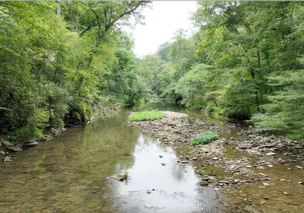1045 Jones Mill Rd, Smithville, TN 37166