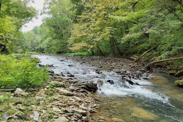 1045 Jones Mill Rd, Smithville, TN 37166
