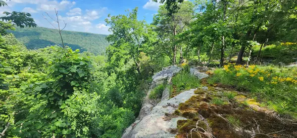 0 Roth Point Road, Altamont, TN 37301